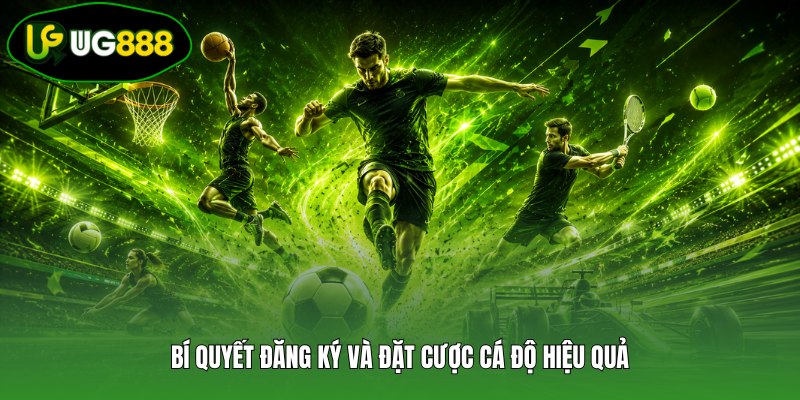 Bí quyết đăng ký và đặt cược cá độ hiệu quả