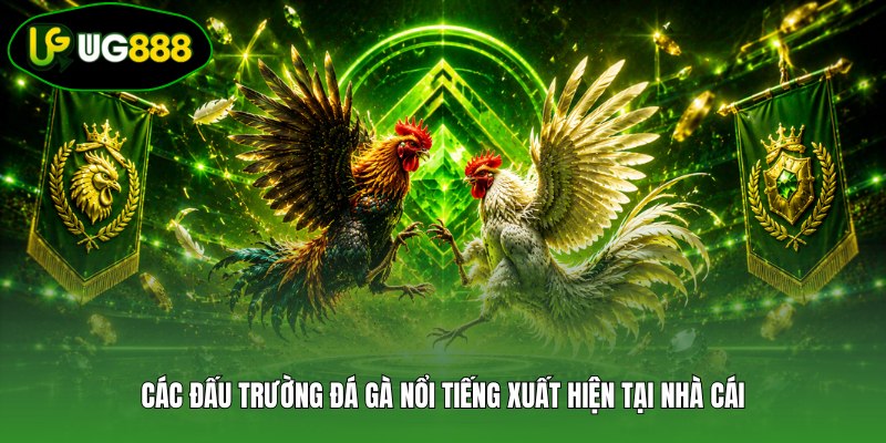 Các đấu trường đá gà nổi tiếng xuất hiện tại nhà cái Các đấu trường đá gà nổi tiếng xuất hiện tại nhà cái
