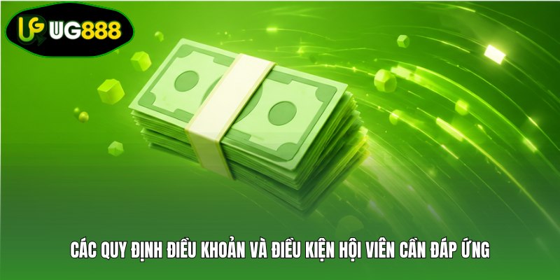 Các quy định điều khoản và điều kiện hội viên cần đáp ứng Các quy định điều khoản và điều kiện hội viên cần đáp ứng
