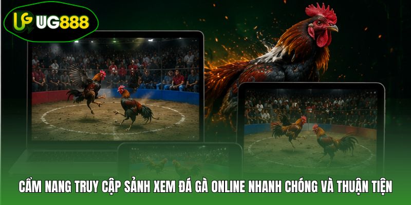Cẩm nang truy cập sảnh xem đá gà online nhanh chóng và thuận tiện Cẩm nang truy cập sảnh xem đá gà online nhanh chóng và thuận tiện