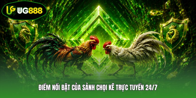Điểm nổi bật của sảnh chọi kê trực tuyến 24/7 Điểm nổi bật của sảnh chọi kê trực tuyến 24/7