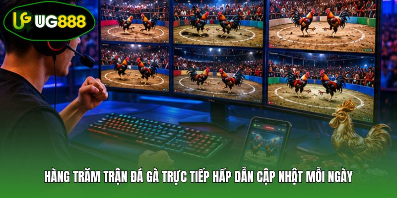 Hàng trăm trận đá gà trực tiếp hấp dẫn cập nhật mỗi ngày Hàng trăm trận đá gà trực tiếp hấp dẫn cập nhật mỗi ngày
