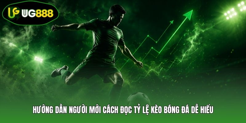 Hướng dẫn người mới cách đọc tỷ lệ kèo bóng đá dễ hiểu