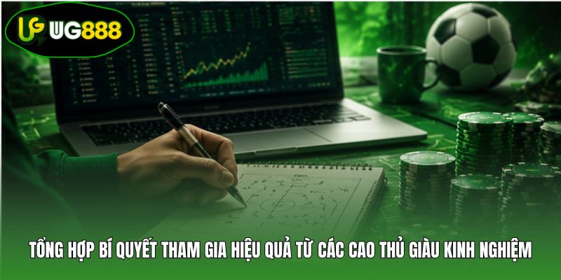 Tổng hợp bí quyết tham gia hiệu quả từ các cao thủ giàu kinh nghiệm