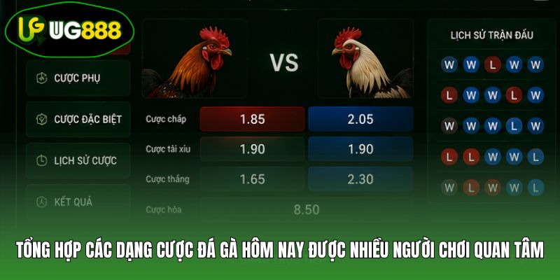 Tổng hợp các dạng cược đá gà hôm nay được nhiều người chơi quan tâm