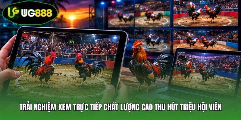 Trải nghiệm xem trực tiếp chất lượng cao thu hút triệu hội viên Trải nghiệm xem trực tiếp chất lượng cao thu hút triệu hội viên