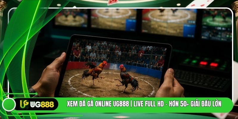 Xem Đá Gà Online UG888 | Live Full HD - Hơn 50+ Giải Đấu Lớn